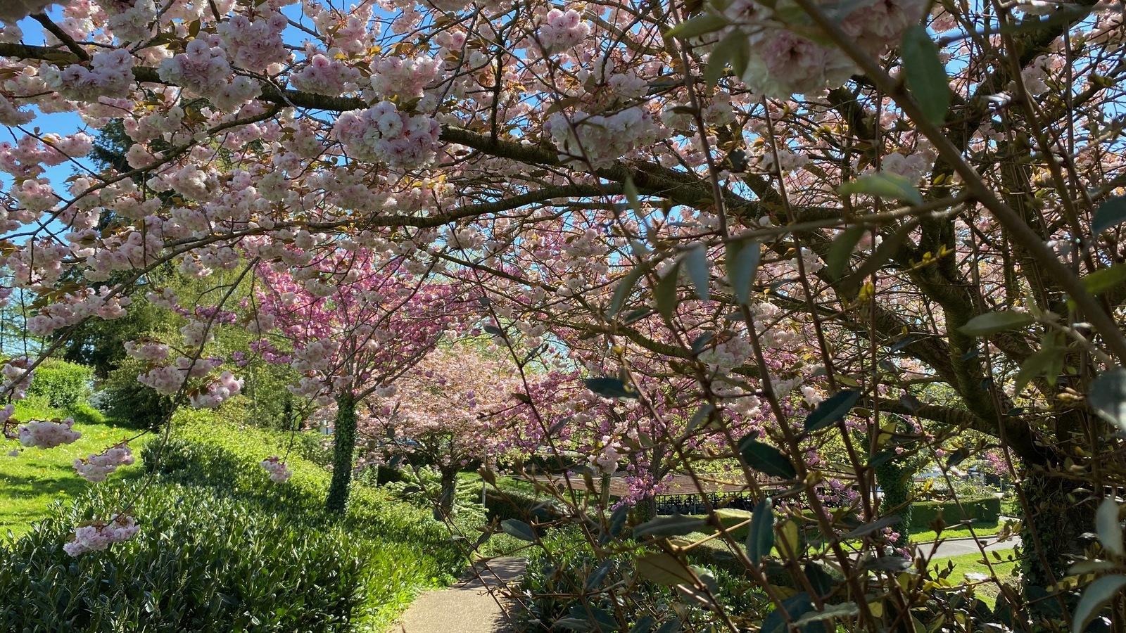Vacances de printemps: interruption des cours pendant 2 semaines