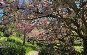 Vacances de printemps: interruption des cours pendant 2 semaines