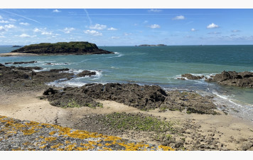 Vacances de la Toussaint : interruption des cours de yoga pendant 2 semaines.