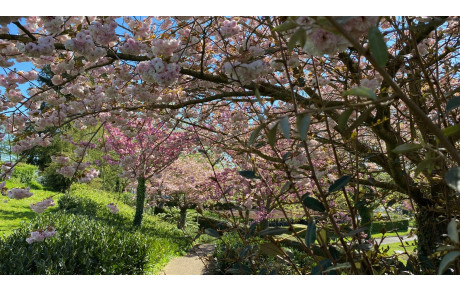 Vacances de printemps: interruption des cours pendant 2 semaines