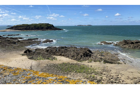 Vacances de la Toussaint : interruption des cours de yoga pendant 2 semaines.